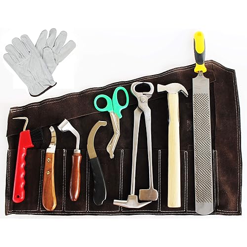 ProRider USA 8 Piece Horse Shoe Farrier Hoof Grooming Tool Kit w/Leather Carry Bag 98497 